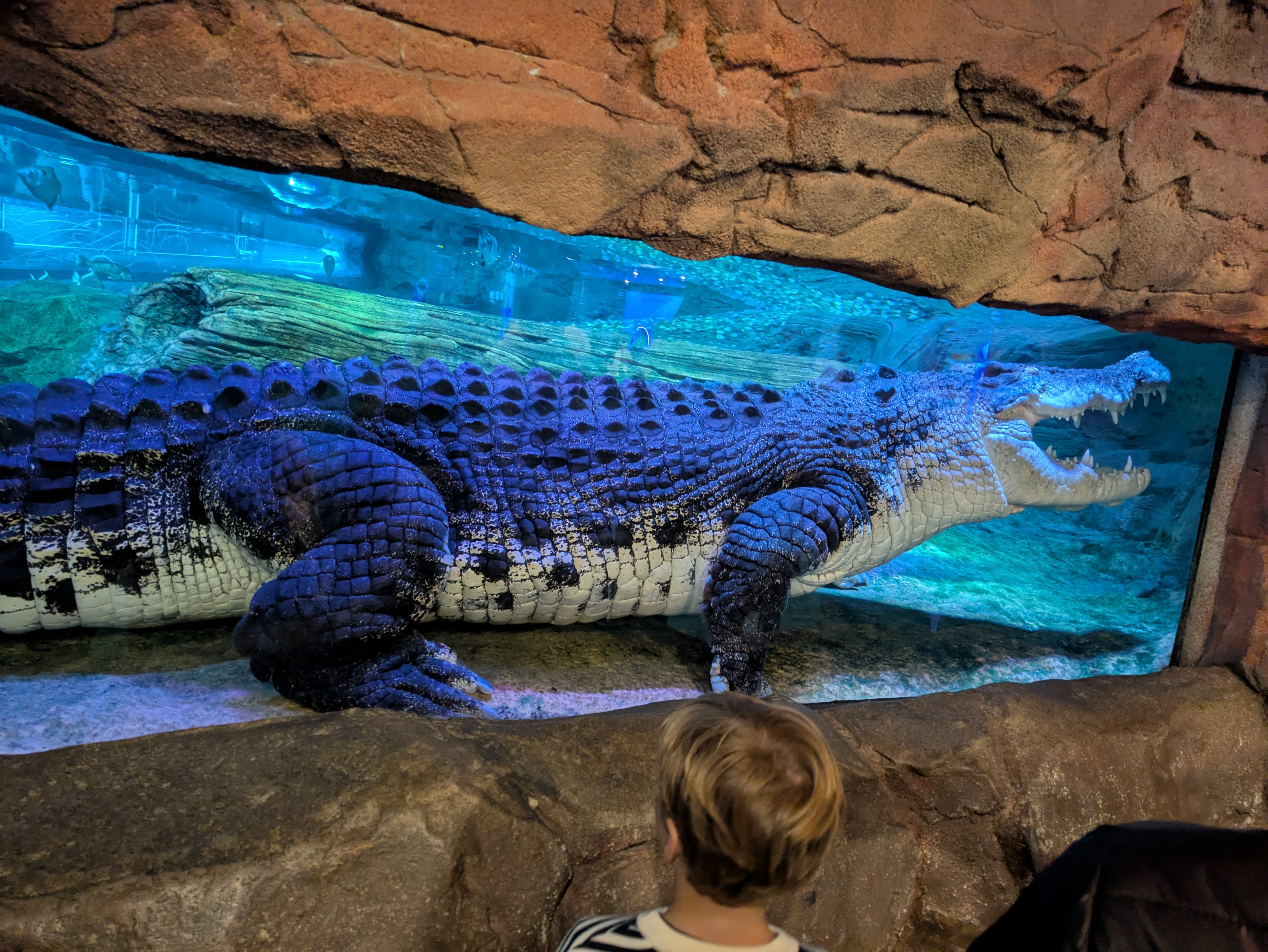 The big guys was finally out where you could see him